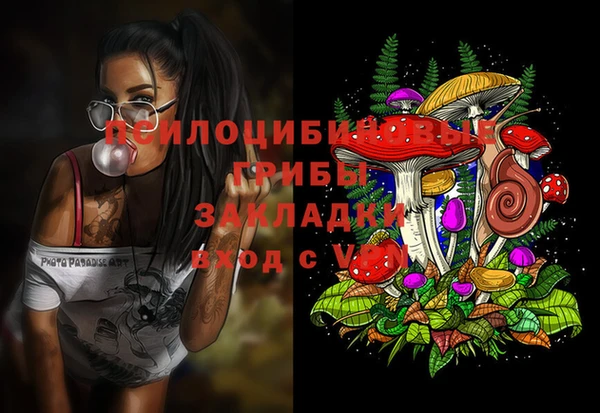 mdpv Михайловск