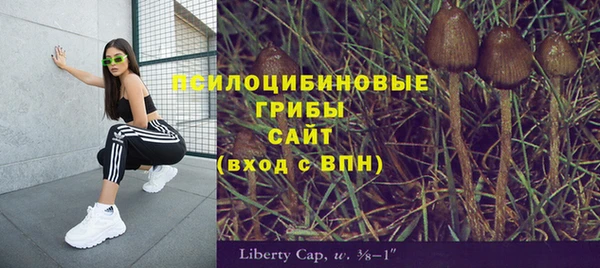 mdpv Михайловск