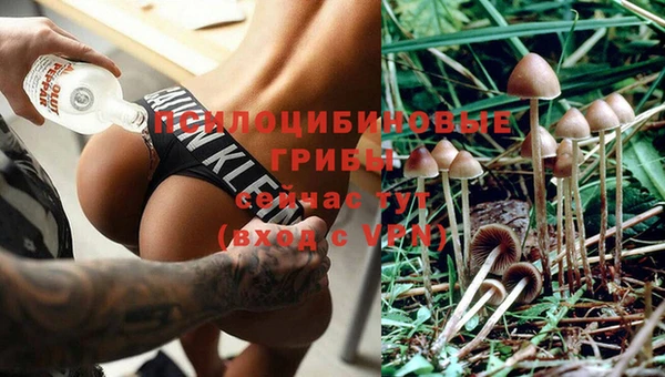 mdpv Михайловск