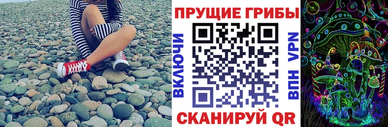 kraken как войти  Эртиль  Галлюциногенные грибы мицелий 